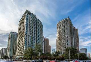 宁波pp中空板周转箱运包一体